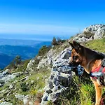 Penzion La Dimora Dei Tramonti Affittacamere Torcigliano